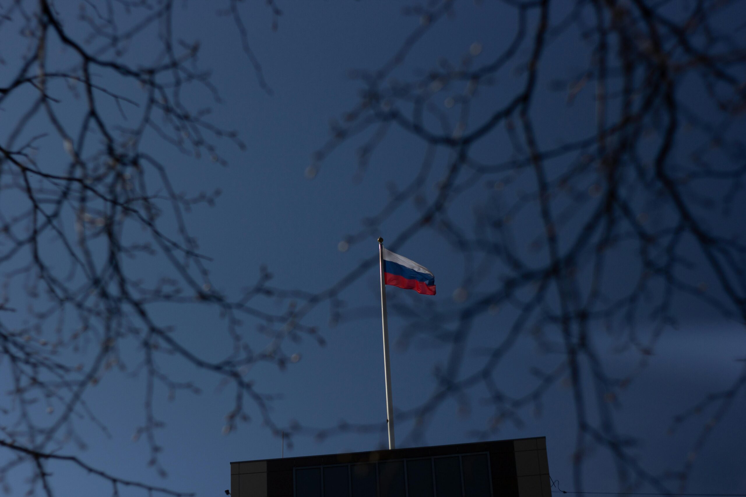 Low angle view of the Russian flag on a flagpole with a clear blue sky and tree branches framing the image.