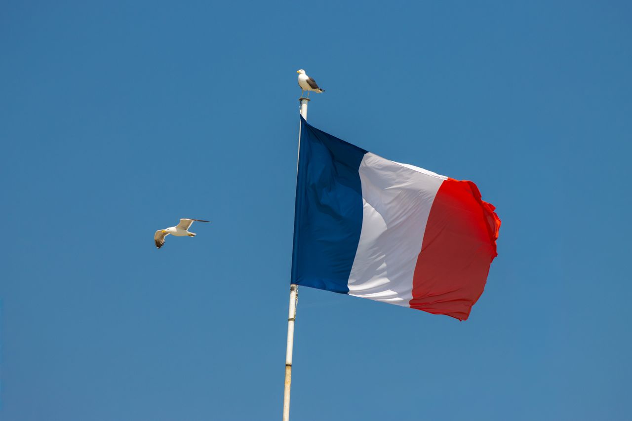 French flag with seagulls against a clear blue sky in Saint-Malo, Brittany, France.